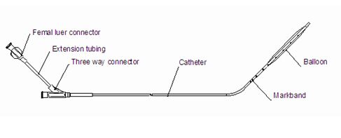 Sizing Balloon – Innosets