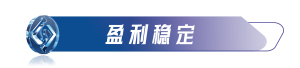 稳定盈利居中.png
